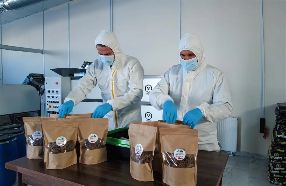 Van Büyükşehir Belediyesi'nden Sahipsiz Hayvanlara Özel Mama Tesisi