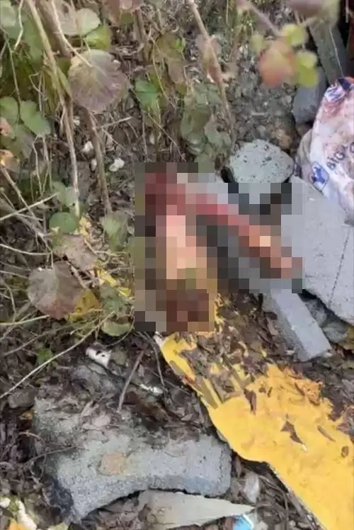 Şüpheli kişinin gözaltı fotoğrafı