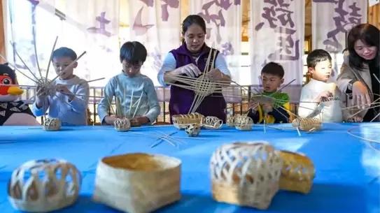 Çin'in Bambu Sektöründe Rekor Değer: 520 Milyar Yuanı Aştı