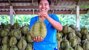 Wuhan‑Bangkok Direkt Hava Kargo Rotası Başladı: Teslimat Süreleri Yarıya Düştü