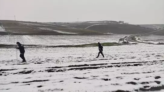 Diyarbakır Çınar’da 7 Günlük Kayıp Kadının Arama Çalışmaları Devam Ediyor