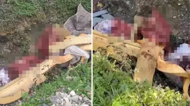 Şüphelilerin kullandığı hayvan kemikleri