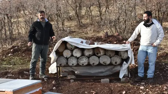 Yusuf Göktepe, Londra'da Altın Madalya İçin Hazırlanıyor