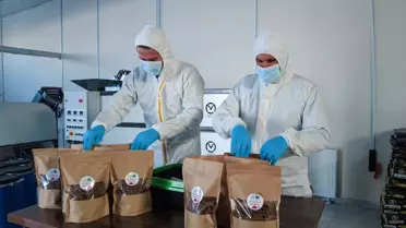 Van Büyükşehir Belediyesi'nden Sahipsiz Hayvanlara Özel Mama Tesisi