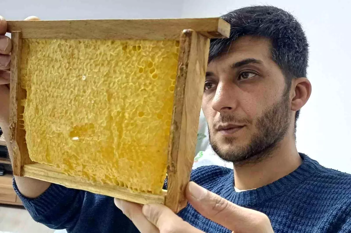 Gaziantep’te Organik Balın Popülerliği Artıyor: Araban’da Talep ve Fiyatlar