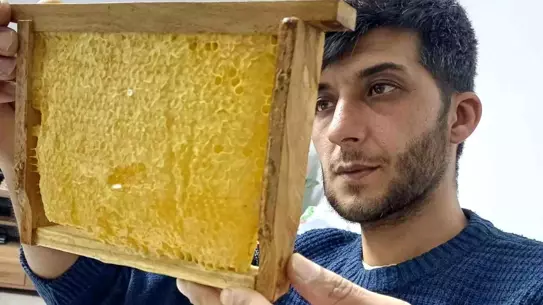 Gaziantep’te Organik Balın Popülerliği Artıyor: Araban’da Talep ve Fiyatlar