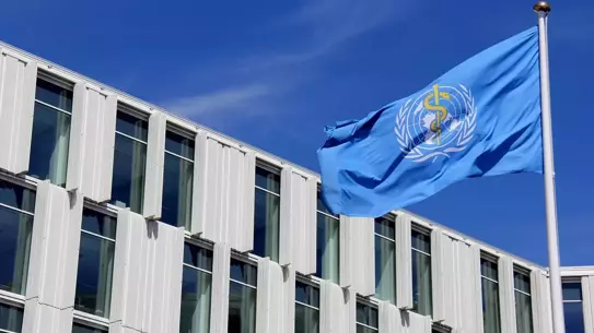 WHO, okul çağındaki çocuk ve ergenlerde obezite oranının %10 olduğunu vurguluyor