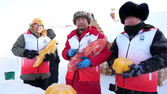 Harbin’de Bitki Boyalarıyla Renklendirilen Buz Heykelleri