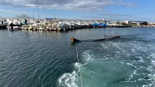 Yalova Sahilinde Çıkarılan Ağaç Gövdesi Deniz Trafiğini Güvence Altına Aldı