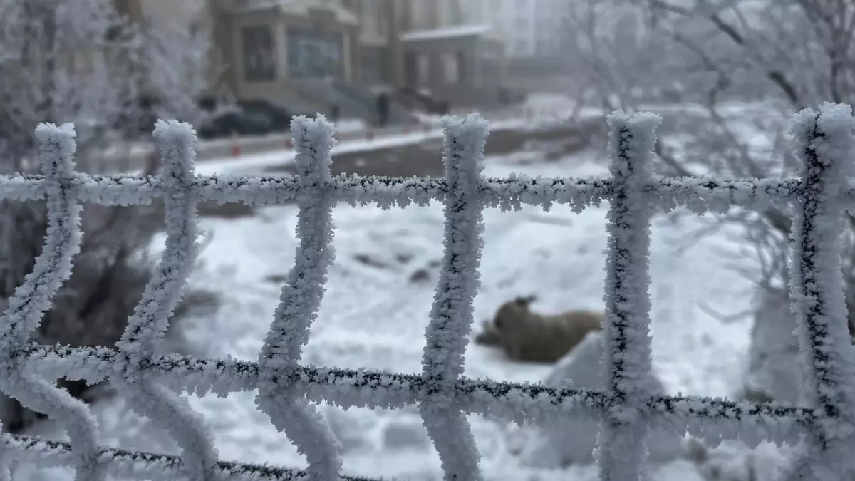 Ardahan’da -23°C’ye Düşen Sıcaklıklar Buz Sarkıtlarını Ortaya Çıkardı