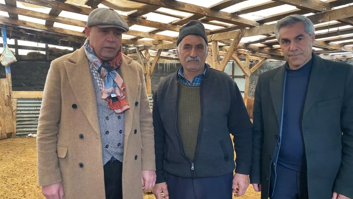 Sisli havada Kars’ta bir kurt ve koyun ağı