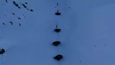 Bitlis’te Kışa Hazırlık: Köyde İmece Usulü Hayvan Yem Taşıma