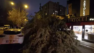 İstanbul’da Fırtına Sonrası Beylikdüzü’ndeki Bina Çöküşü ve Ataşehir’de Ağaç Devrilişi: Yaralanma Yok