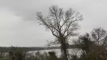 Sakarya’da Kayıp Genç Murat Arslan’ın Cesedi Göl Kenarında Bulundu