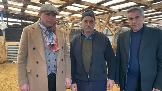 Kars’ta Sisli Havada Bir Kurt, 200 Koyunu Ağlına Sürükledi