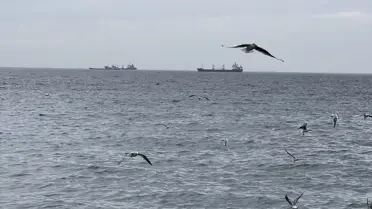 Tekirdağ’da Şiddetli Lodos Deniz Ulaşımını ve Balıkçılığı Zor Duruma Sokuyor