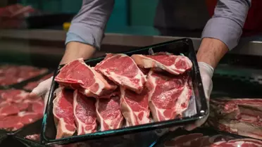 Erzurum’da Kırmızı Et Üretimini Artıracak Yeni Pilot Proje Hayata Geçiyor