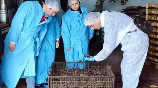 Afyonkarahisar’da Köpek Maması Üretim Tesisi Denetimi Gerçekleşti