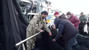 İğneada ve Gürcistan’da Hamsi Avı Düşüş Yaşarken Balıkçılar İstavrte Yöneliyor