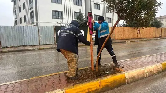 Adıyaman’da Yeşil Alan Bakım Çalışmaları Hız Kazandı