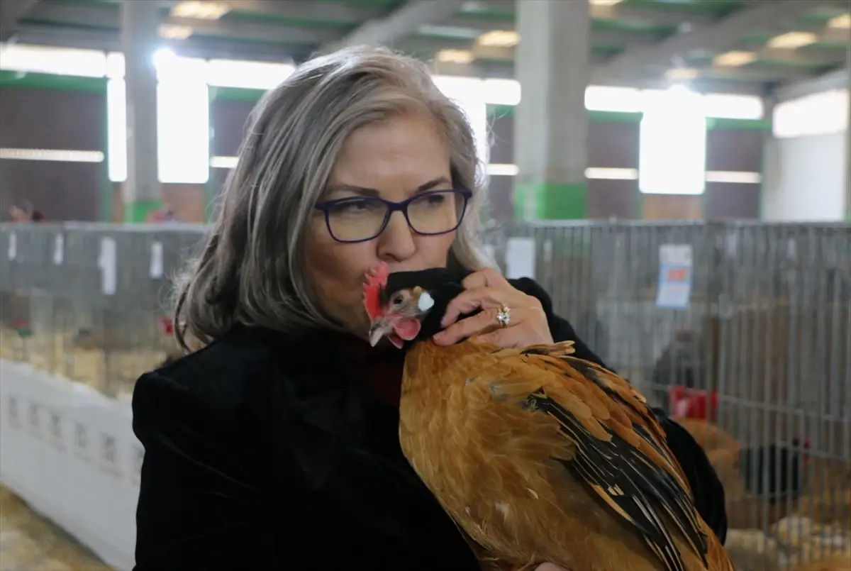 Ayşegül Genç Özdemir ve tavukları