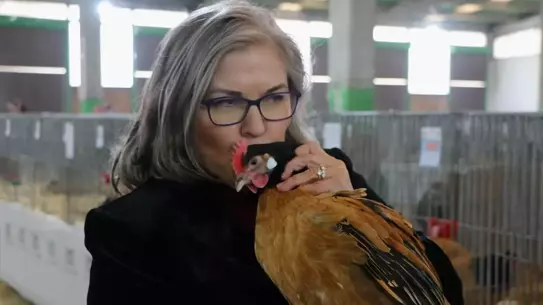 Ayşegül Genç Özdemir'den 'Tavuk Doktoru' ile Kanatlı Hayvan Sağlığı Hizmeti