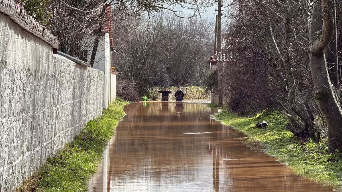 Muğla’nın Menteşe İlçesinde Kayıp Kadının Cesedi Ağaca Asılı Bulundu