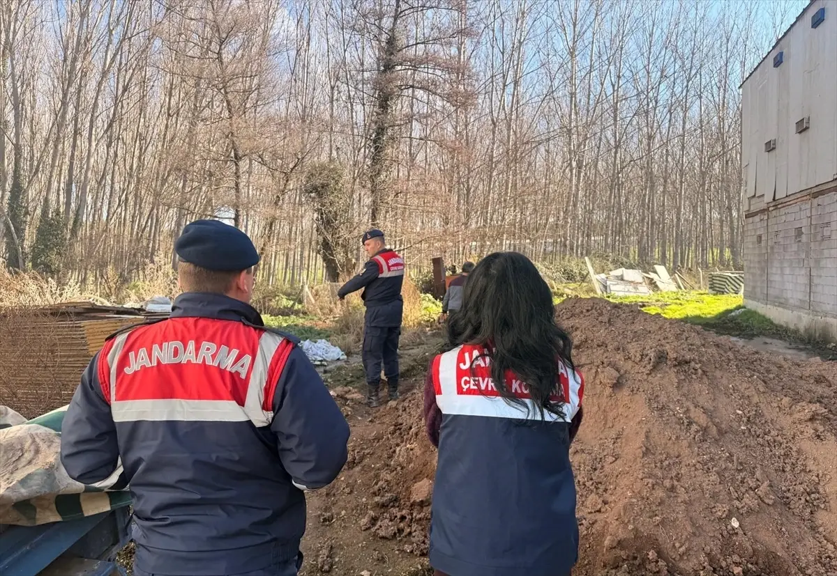 Taraklı’da Tavuk Çiftliğine Biyogüvenlik İhlali Nedeniyle Kapama Kararı
