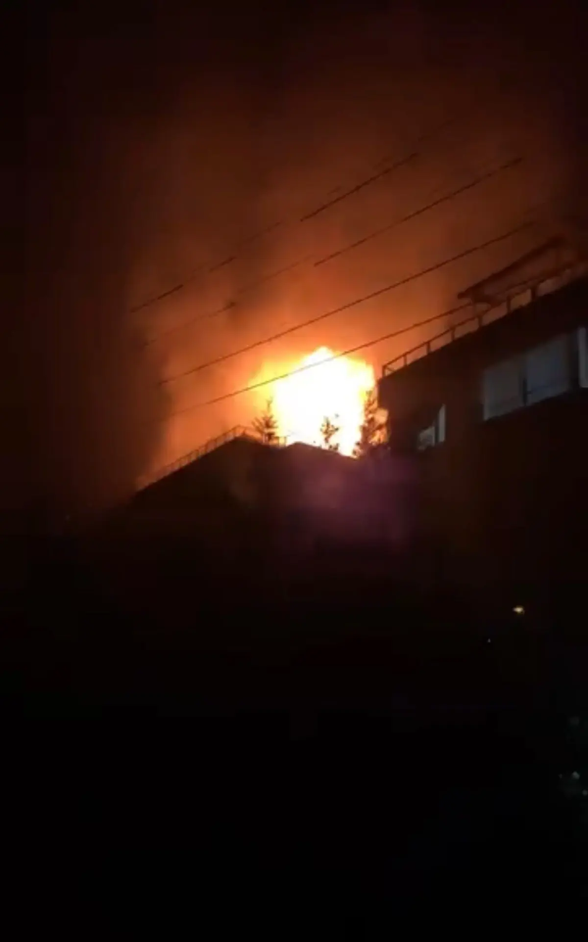 Çınarcık'ta Mangal Yangını Hızla Kontrol Altına Alındı