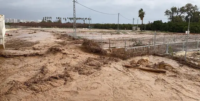 Adana mezarlığında su seviyesi