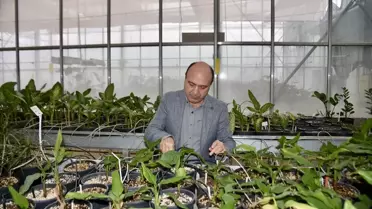 Antalya’da COP31: Tarım ve Sera Teknolojileri Öne Çıkıyor