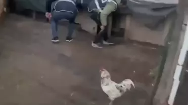 İzmir'de Silahlı Soygun Mahkumunun Kümeste Yakalanışı