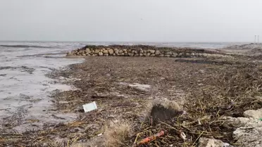 Sel Sonrası Kıyı Manzarası