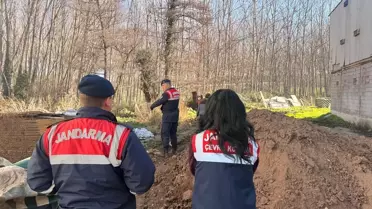 Denetim sırasında çekilen tavuk çiftliği fotoğrafı