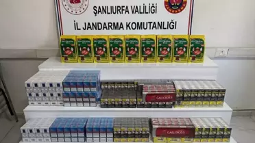 Viranşehir'de Büyük Kaçakçılık Operasyonu: 9.170 Paket Sigara ve 20 Litre Alkol Ele Geçirildi