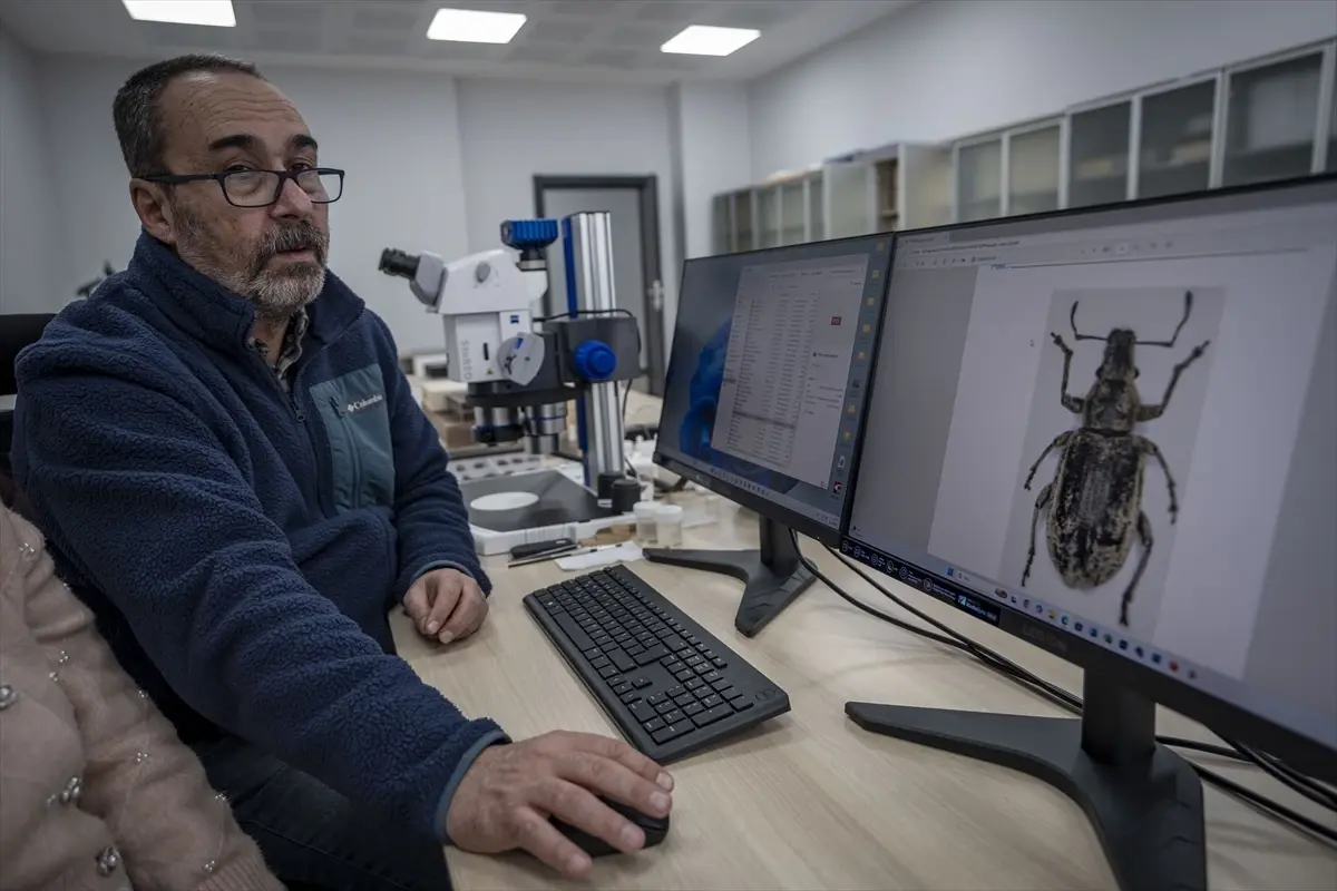 Erzurum Üniversitesi'nden İki Yeni Hortumlu Böcek Türü Tanımlandı