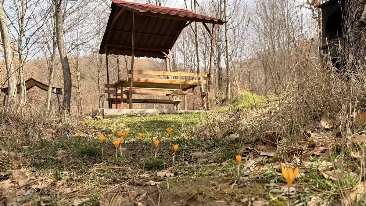 Yeşil Göl'de İlkbahar Renkleri Göz Kamaştırıyor