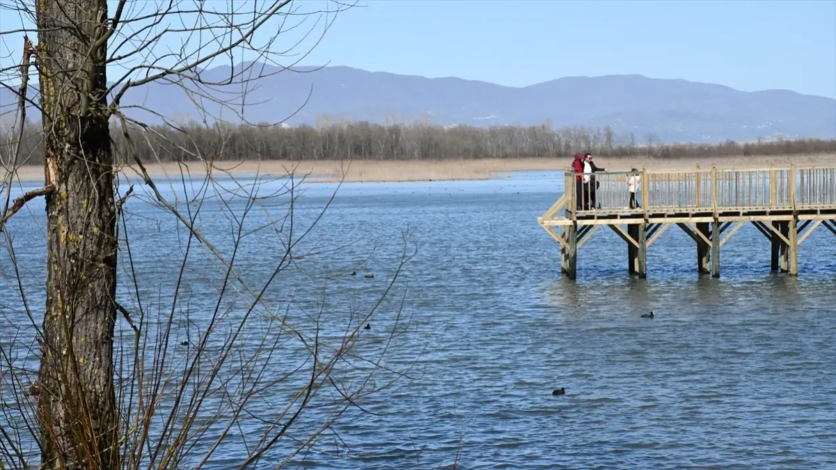 Efteni Gölü: Kuş Cenneti ve Doğa Kaçamağı