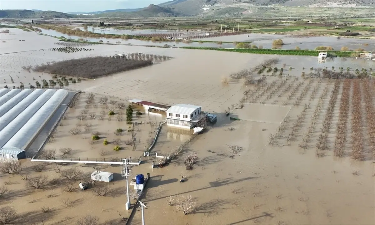 Menemen'deki Tavuk Çiftliğinde Sel Felaketi ve Hayvan Tahliyesi
