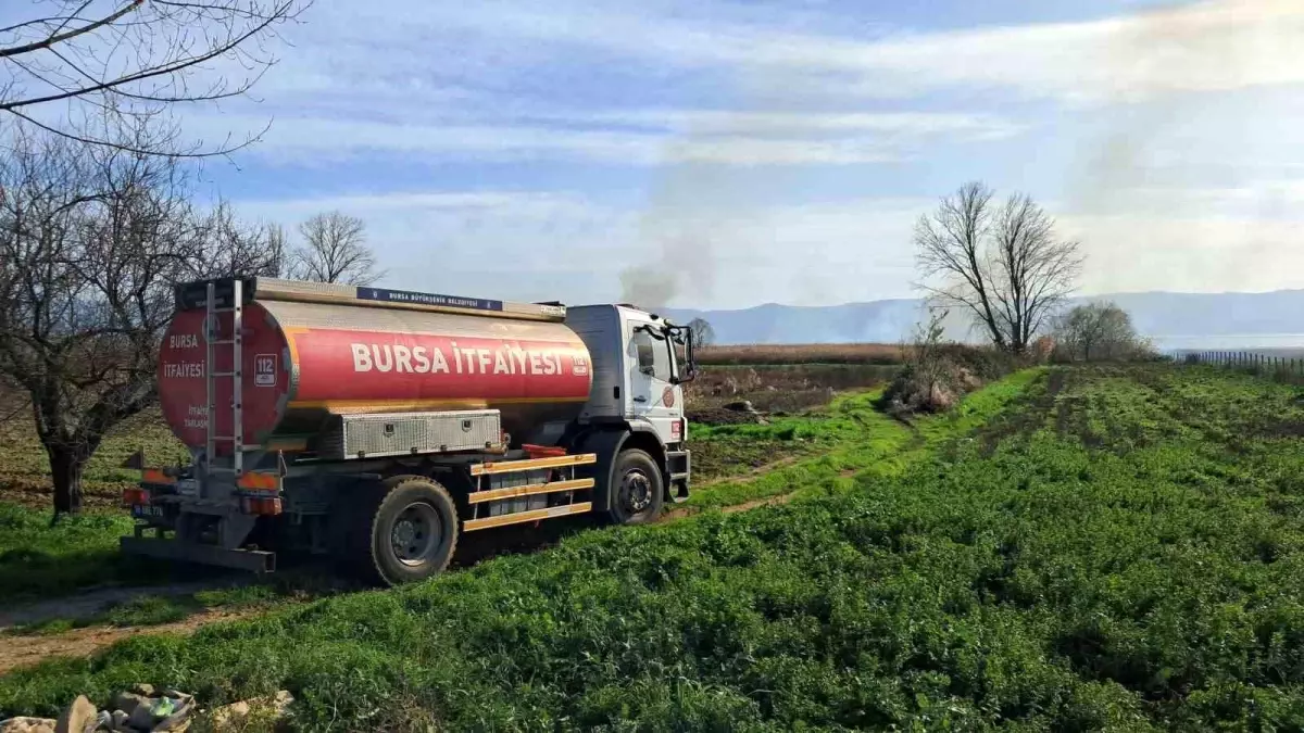 İznik'te Sazlık Yangınına Hızlı Müdahale ve Kontrol Çabaları