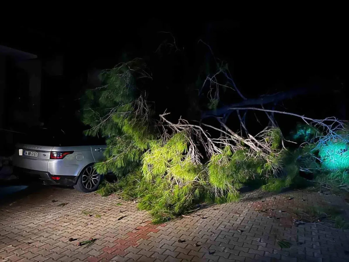 Marmaris’te Şiddetli Fırtına Ağaçları Yere Düşürdü, 1 Kişi Yaralandı