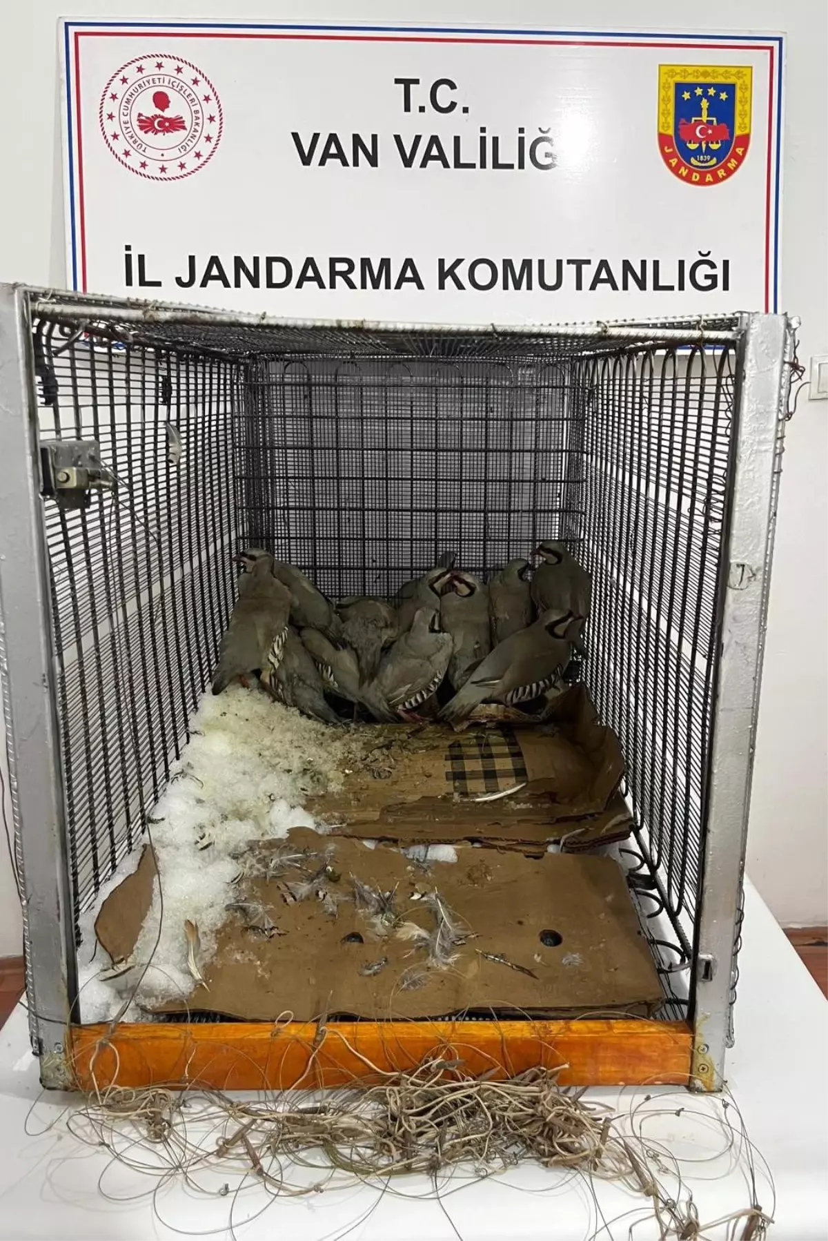 Van’da Kaçak Keklik Avcısına 75.303 TL İdari Para Cezası Kesildi