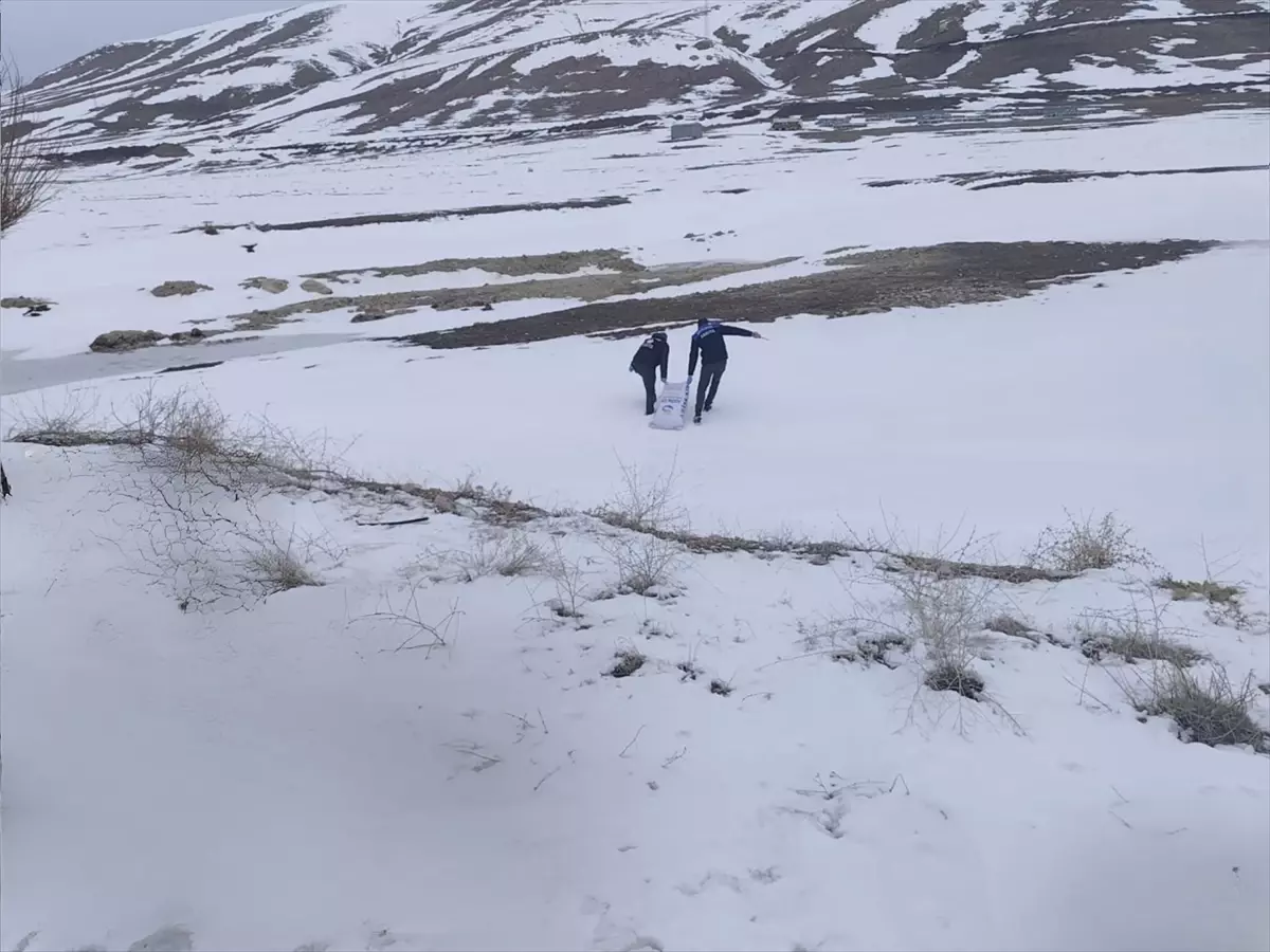 Van Erciş’te Olumsuz Hava Koşullarına Karşı Yaban Kuşlarına 1,5 Ton Buğday Dağıtıldı