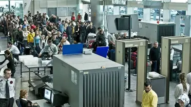 İstanbul Havalimanı'nda 13 Kg Havyar Kaçakçılığı ve 94 Bin Lira Ceza