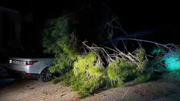 Marmaris’te devrilen ağaç ve hasar