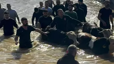 Manisa’da sel sonrası kurtarma ekipleri