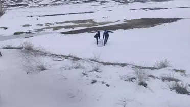 Yaban kuşlarına bırakılan 1,5 ton buğday