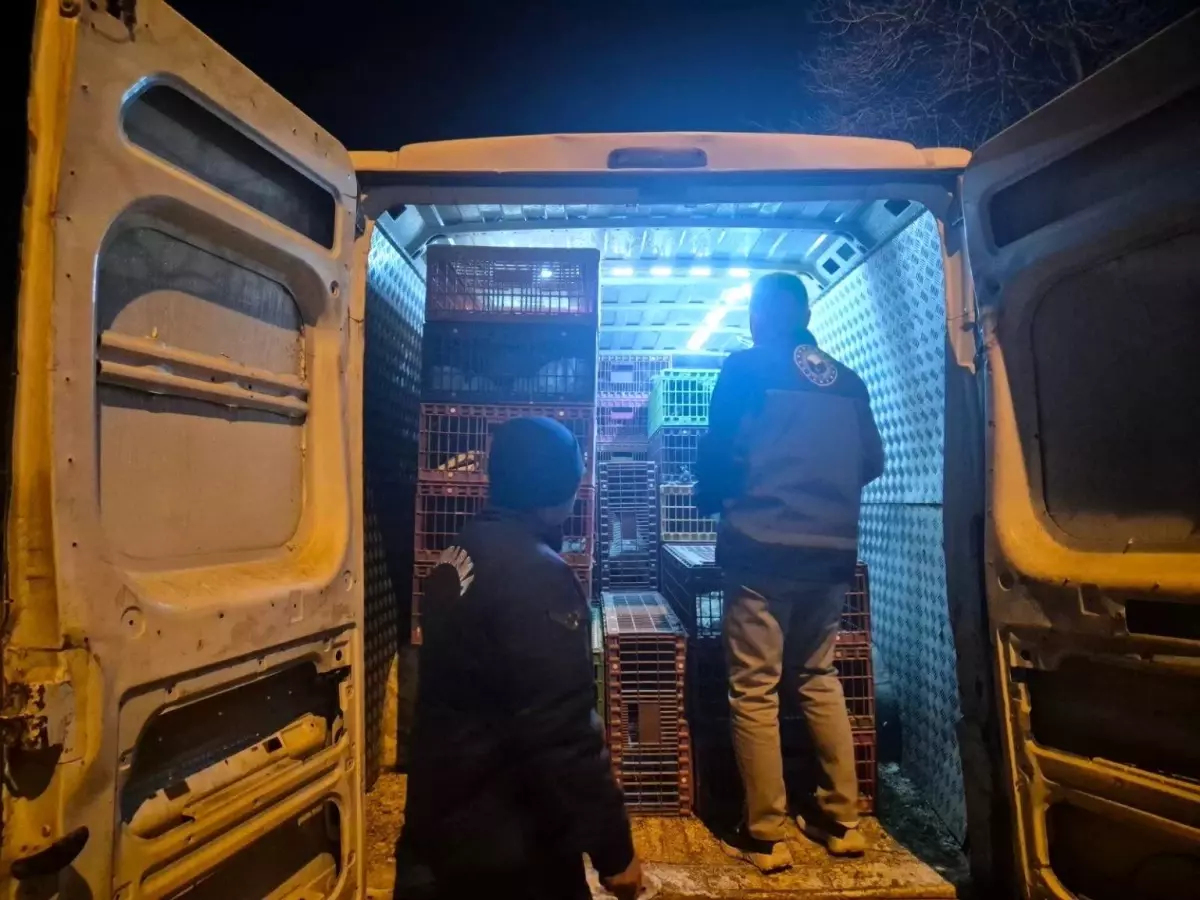 Bozüyük’te Belgesiz Hayvan Sevki İçin 52.720 TL Ceza Kesildi