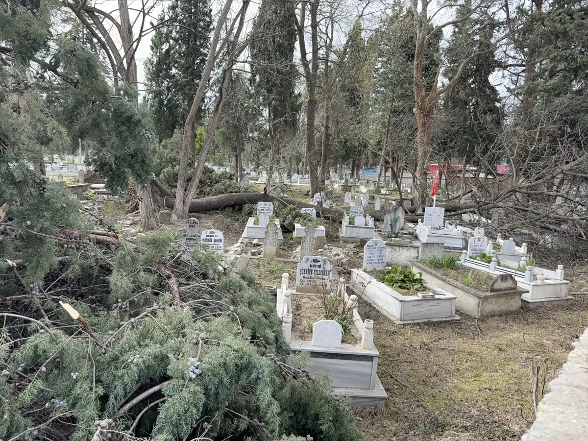 Alaçam Mezarlığında Fırtına Nedeniyle 9 Ağaç Yıkıldı, Hasar Tespiti Başlatıldı