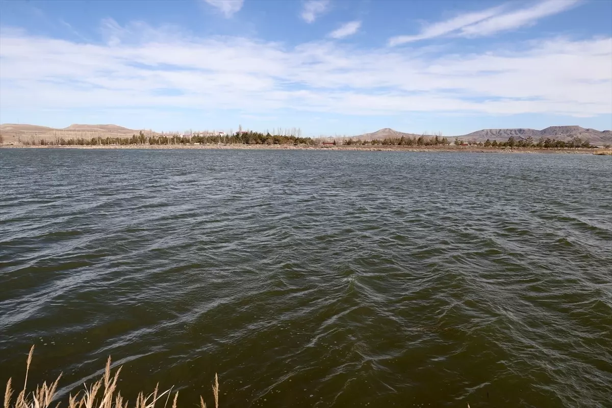 Sivas'ta Ulaş Gölü'ne Erimeyen Kar Suları Yeniden Hayat Verdi